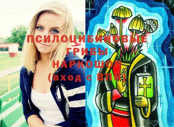 apvp Абаза