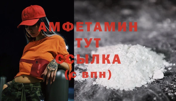 дмт Алзамай